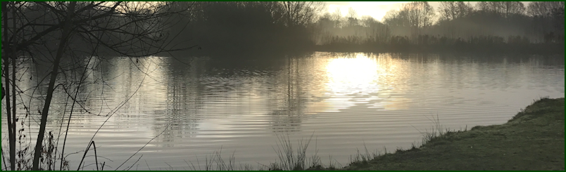 Ashby Park Fishing