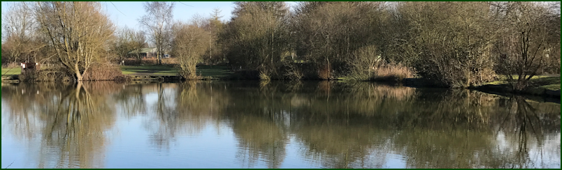 Ashby Park Fishing